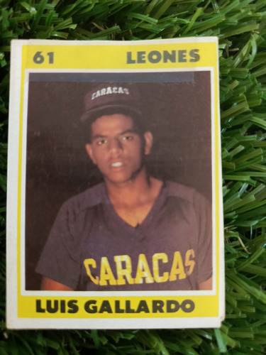 1976 Álbum De Béisbol Profesional Venezolano Luis Gallardo 