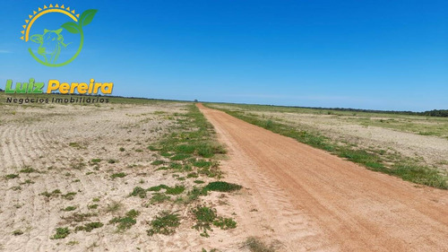 Imagem 15 de 15 de Fazenda À Venda Em Divinópolis - To - De 1.476 Hectares - 1747