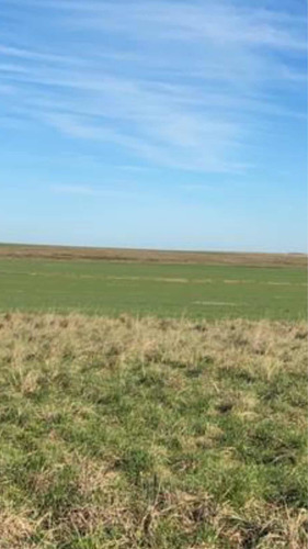 Imagen 8 de 13 de 2.500 Hectáreas Mixtas ( Duraznos. Uruguay ).