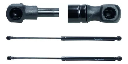 Par De Amortiguadores Cajuela Seat Ibiza 2003-2009