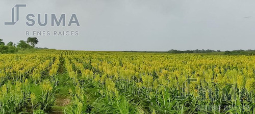 Rancho En Venta Gonzalez Tamaulipas