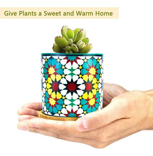 Paquete De 6 Macetas Para Plantas Suculentas De Mandala Con
