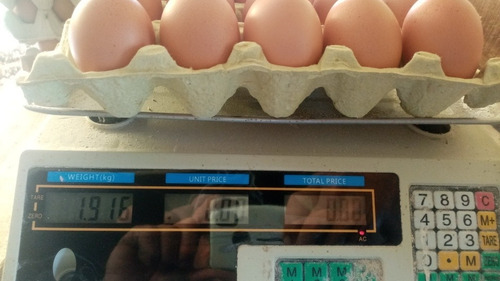 Imagen 3 de 9 de Huevos Caseros Busco Rebendedor