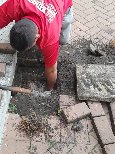 Imagen 5 de 5 de Destaqueo De Tuberías Ruter Murillo