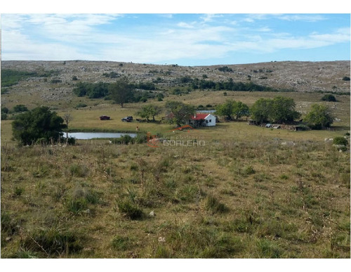 Imagen 18 de 21 de Campo En Uruguay, Aiguá, Ruta 13