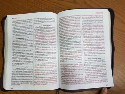 Biblia Reina Valera 1960 Letra Gigante Café Con Cierre