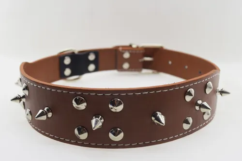 Duke dog collar online