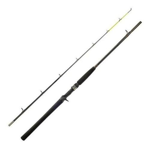 Imagem 1 de 6 de Vara Pesca Carretilha Laguna Ação Rápida 1,83 20/40 Libras