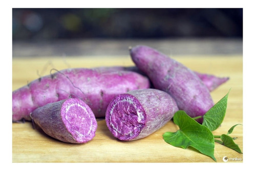 12 Mudads De Batata Doce Polpa Roxa Okinawa