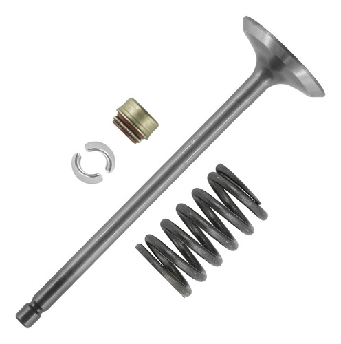 Caltric 0809-229 0809-040 0809-231 0830-186 Exhaust Valv Cch