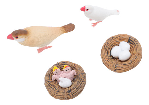 Figuras Educativas De Pvc Sobre El Ciclo De Vida De Aves, 4