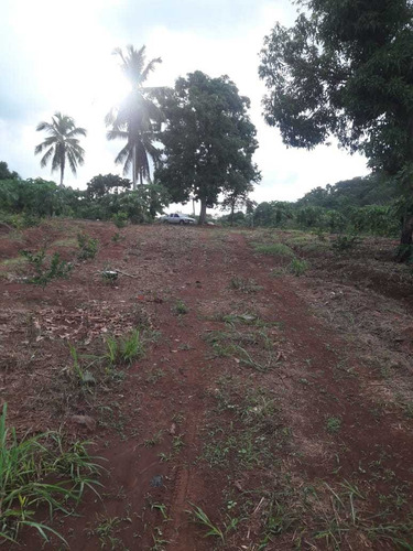 Te Vendo Excelente Finca En Monte Plata