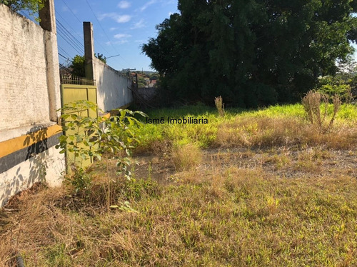 Imagem 3 de 5 de Terreno - Te00429 - 69514550