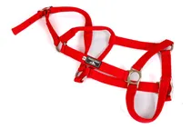 Comprar Cabresto Quarto De Milha Inox Speed Horse Vermelho