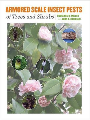 Libro Armored Scale Insect Pests Of Trees And Shrubs (hem...