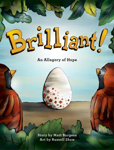 Brilliant!, De Matt B Burgess. Editorial Courage Media, Tapa Dura En Inglés