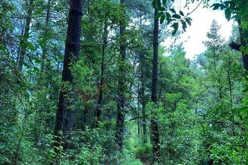 Imagen 18 de 22 de Venta De Terreno En Valle De Bravo Con Desarrollo De Rancho