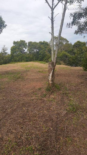 Terreno À Venda, 4868 M² Por R$ 400.000,00 - Parque Das Garças - Santo André/sp - Te0094