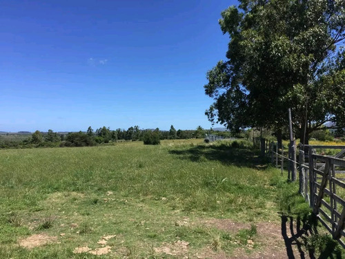 Venta De Campo En Pan De Azúcar, 36 Ha Con Vista A Las Sierras De Las Animas, Costa Al Arroyo El Renegado, 3 Tajamares.