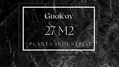 Imagen 1 de 2 de Planta Industrial Guaicay 27 M2