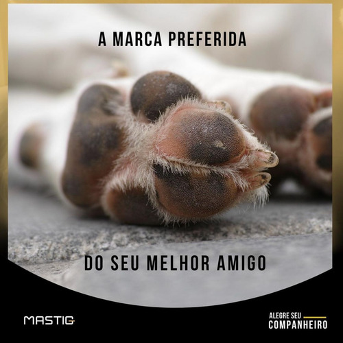 Kit 4 Pct Palito Ossinho Cães Sabor Natural Mastig C/ 10 Un