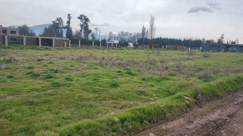 Las Mercedes
