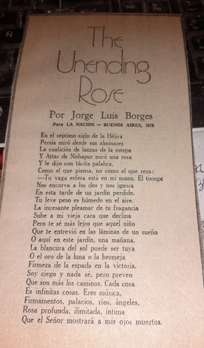 Poema Borges Jorge Luis La Nacion The Unending Rose