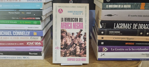 La Revolucion Del Africa Negra - Giampaolo Calchi Novati