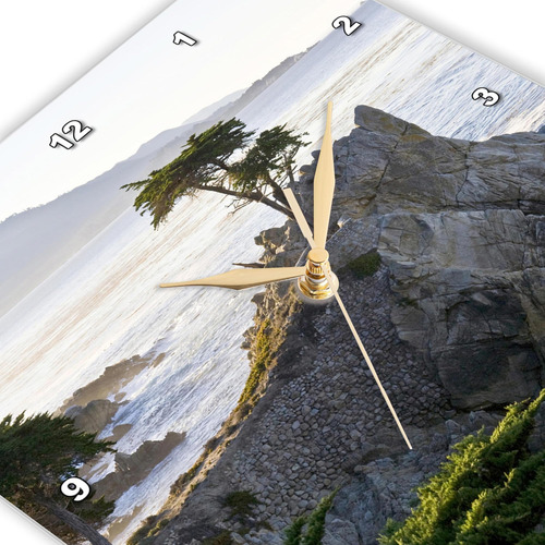 3drose Dpp__2 California Carmel-by-the-sea, Lone Cypress Us0