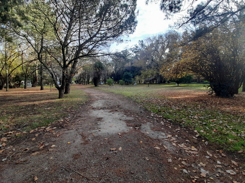 Venta De Camping - Ruta 226