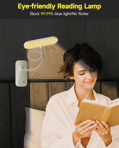 Lámpara De Escritorio Con Abrazadera, Luz De Lectura Recarga