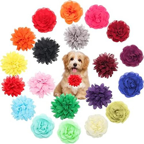 Catcan Accesorio Para Collar De Flores Para Perro 20