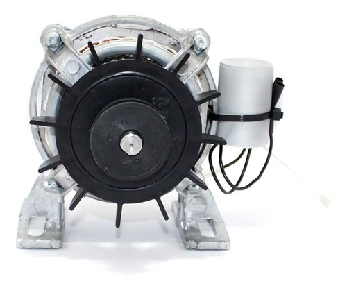 Imagem 2 de 4 de Motor De Tanquinho Lave Mais, Fioreta, Cimento 127v E 220v