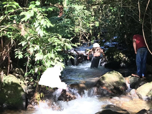 Imagem 3 de 5 de Baixei O Preço Pra Vender Rápido***sítio Com Rio Abundante, Nascente E Pequena Cascata!!!