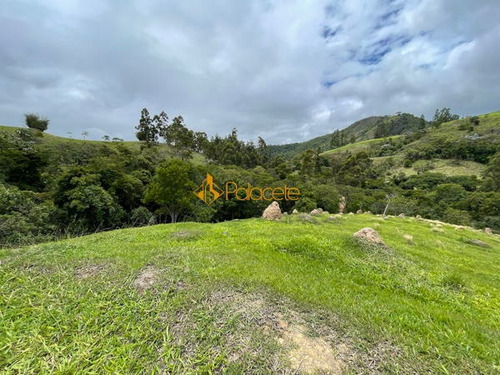 Imagem 13 de 16 de Rural Comercial - 366000-v
