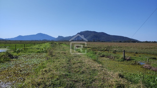 Imagem 5 de 30 de Fazenda Localizada Em Iguape- Sp Com 280 Alqueires - 262 - 71153412