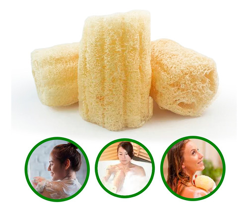 Kit Bucha Natural Vegetal Esponja Orgânica Banho C/ 5un