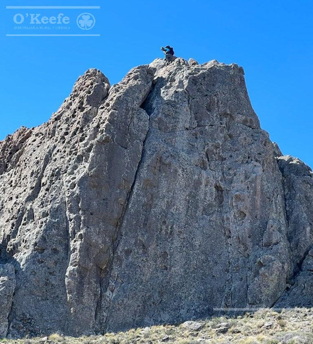 Campo En Venta De 635 Has Bariloche, Costa Del Pichileufu, Rio Negro.
