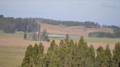 Quinta En Venta En Garzon