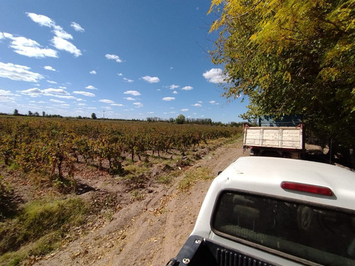 Imagen 14 de 16 de ¡zeballos Estudio Jurídico E Inmobiliaria Vende Finca En Producción En Lavalle! Mat. 134/135