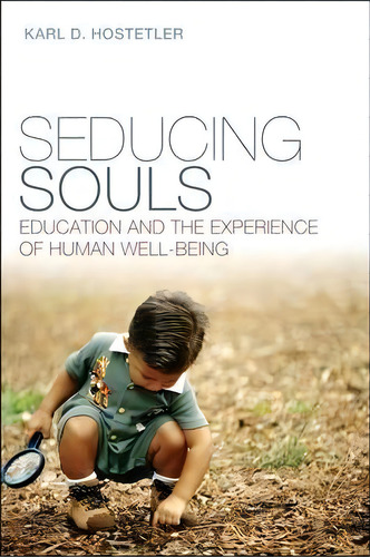 Seducing Souls, De Karl D. Hostetler. Editorial Continuum Publishing Corporation, Tapa Blanda En Inglés
