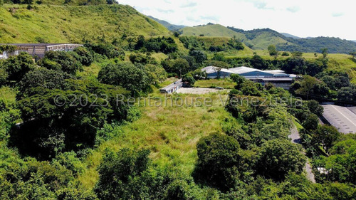 Terreno En Venta En Los Anaucos Cda 24-8682 Yf
