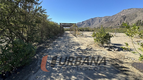 Parcela Ideal Para Proyecto En El Molle