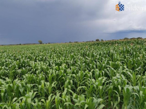 Rancho En Venta Labor De Guadalupe