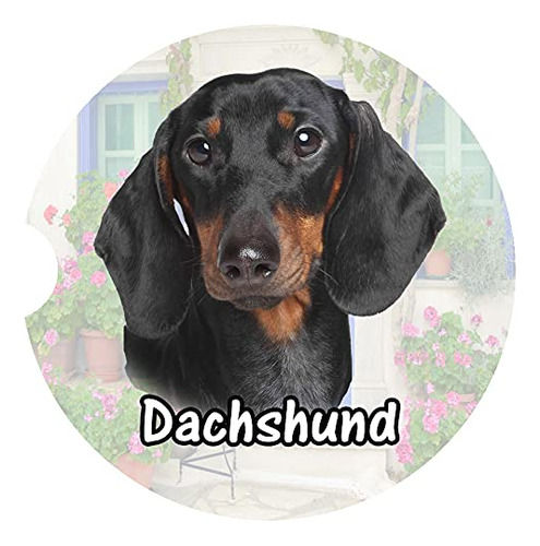 Dachshund Coche Posavaso Negro Regalo Piedra Arenisca Rusa