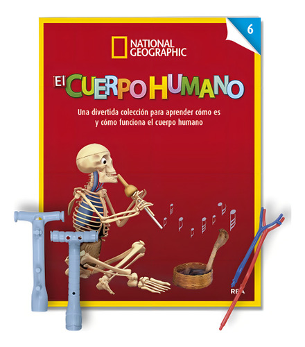 El Cuerpo Humano (para Armar) 06 Traquea - Esofago - Venas Superiores, De Sin . Editorial Fasciculos Coleccionables, Edición 1 En Español