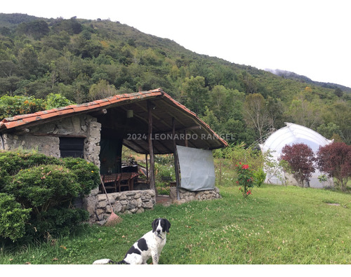 Se Vende Bella Finca De 10 Hectáreas Con Casa Colonial En Cacute Sector Santa Elena, Mérida.