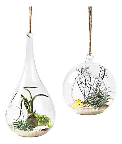 Mkono 2 Pack Glass Hanging Planter Air Plant Terrario Globo 