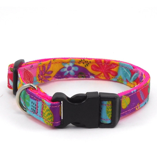 Collar Para Perro Ajustable Talla Xs - Collage - Entrega Ya