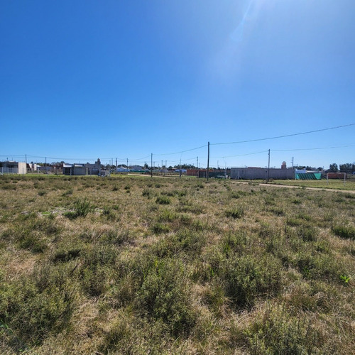 Lote - Terreno En Venta En La Plata. 290 M2. Barrio En Crecimiento, Calle 16 Y 601
